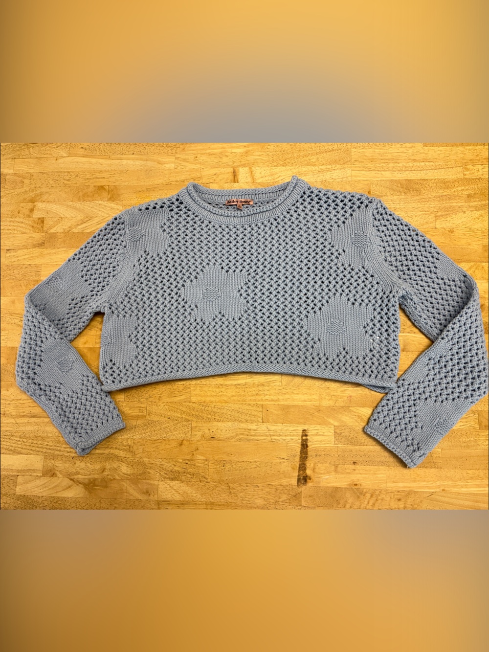Bailey Rose Periwinkle Blue Open Knit Crochet Flower Motif Cropped Sweater Sz S